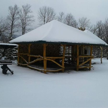 Motel Karpaty Viking Nizhneye Sinevidnoye Esterno foto