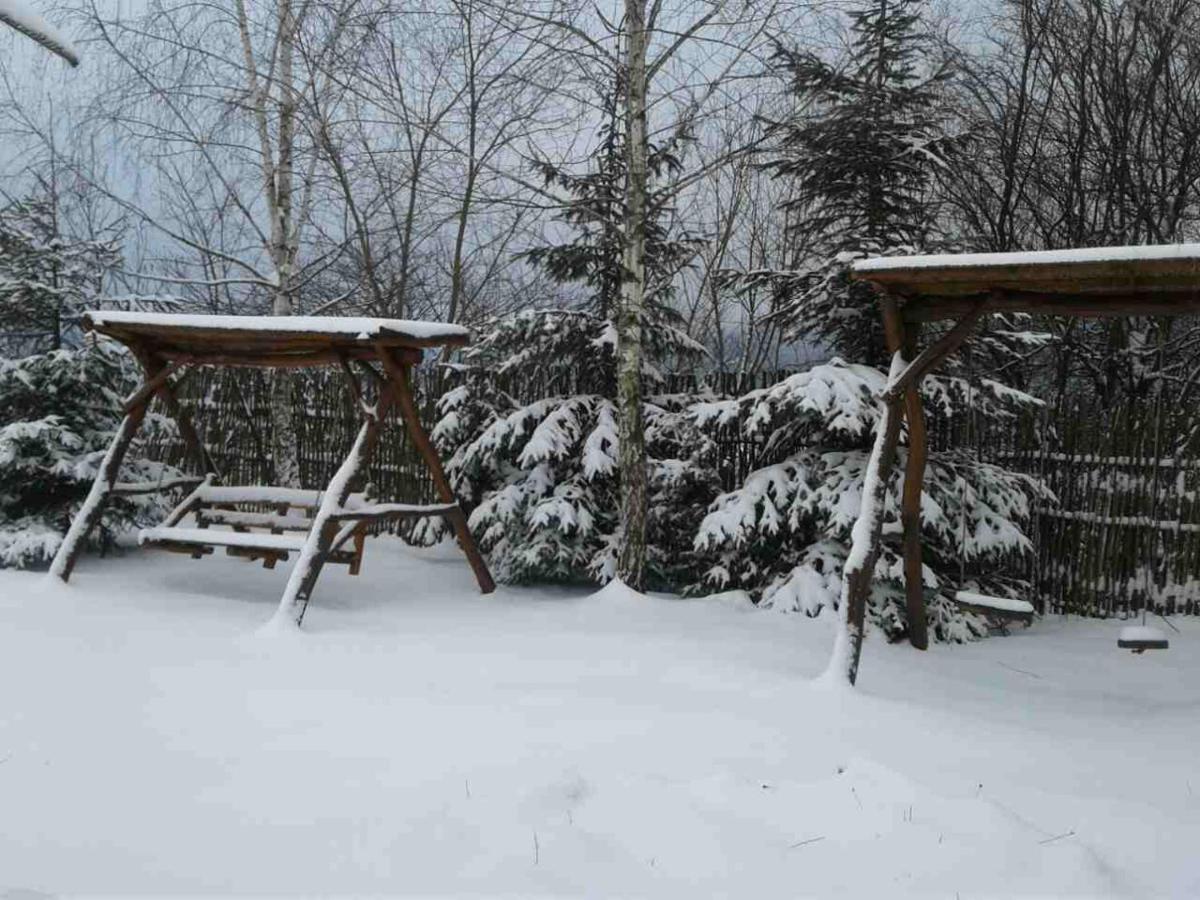 Motel Karpaty Viking Nizhneye Sinevidnoye Esterno foto