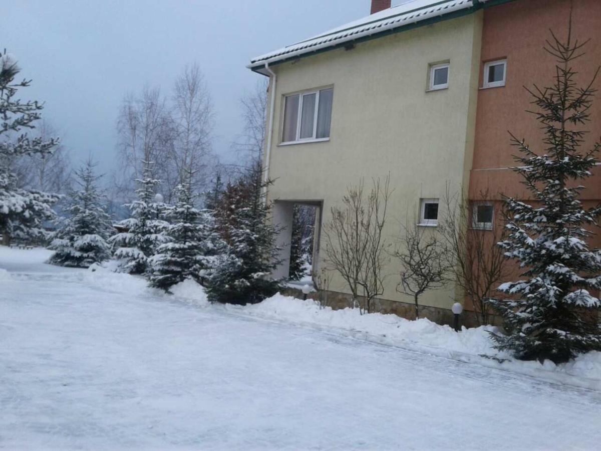 Motel Karpaty Viking Nizhneye Sinevidnoye Esterno foto